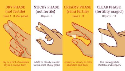 8 dpo cervical mucus